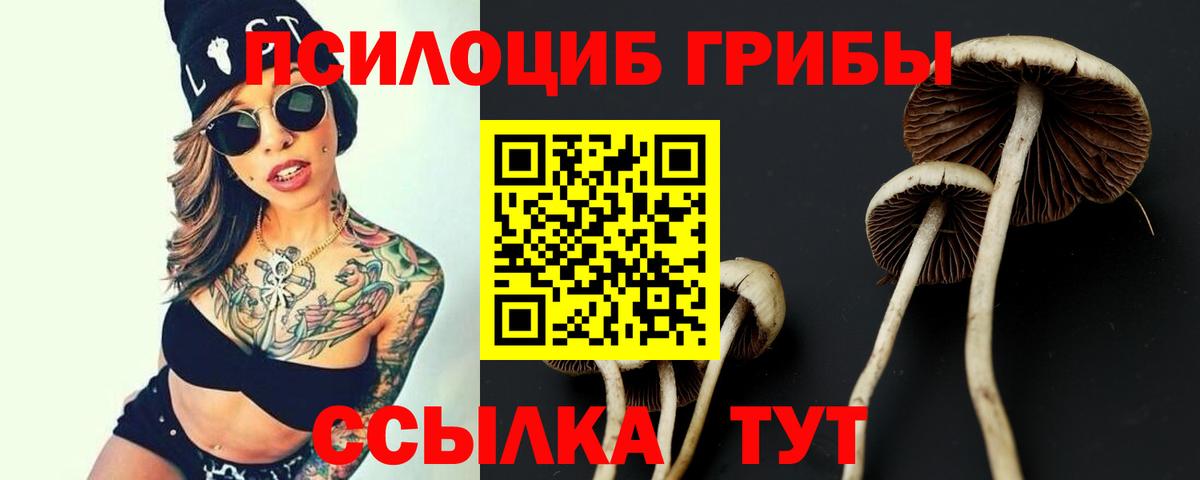 Галлюциногенные грибы Psilocybe  Галлюциногенные грибы мицелий  Вход с VPN  Гудермес 